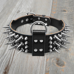Luxurious Leather Collar